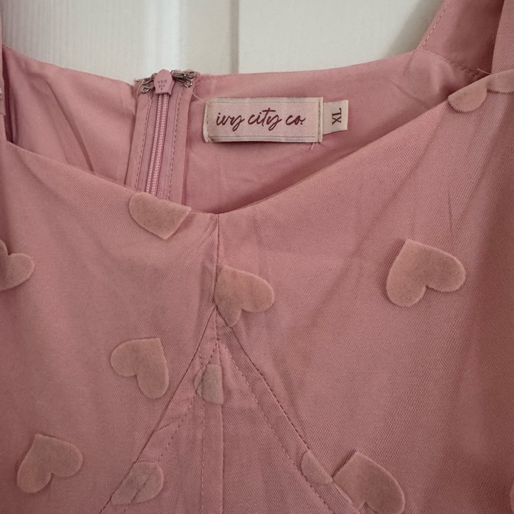 NWOT Ivy City Co Blush Heart Appliqué Dress - Picture 3 of 10